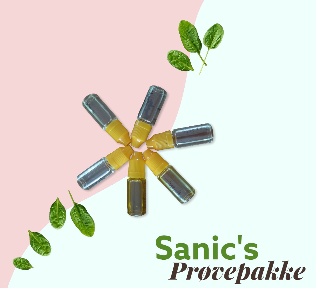 Sanic's prøvepakke